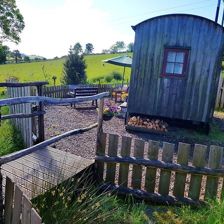 Eco Accommodation Cornflower Holiday Craven Arms Luaran gambar