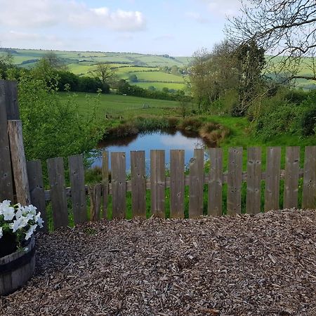 Eco Accommodation Cornflower Holiday Craven Arms Luaran gambar