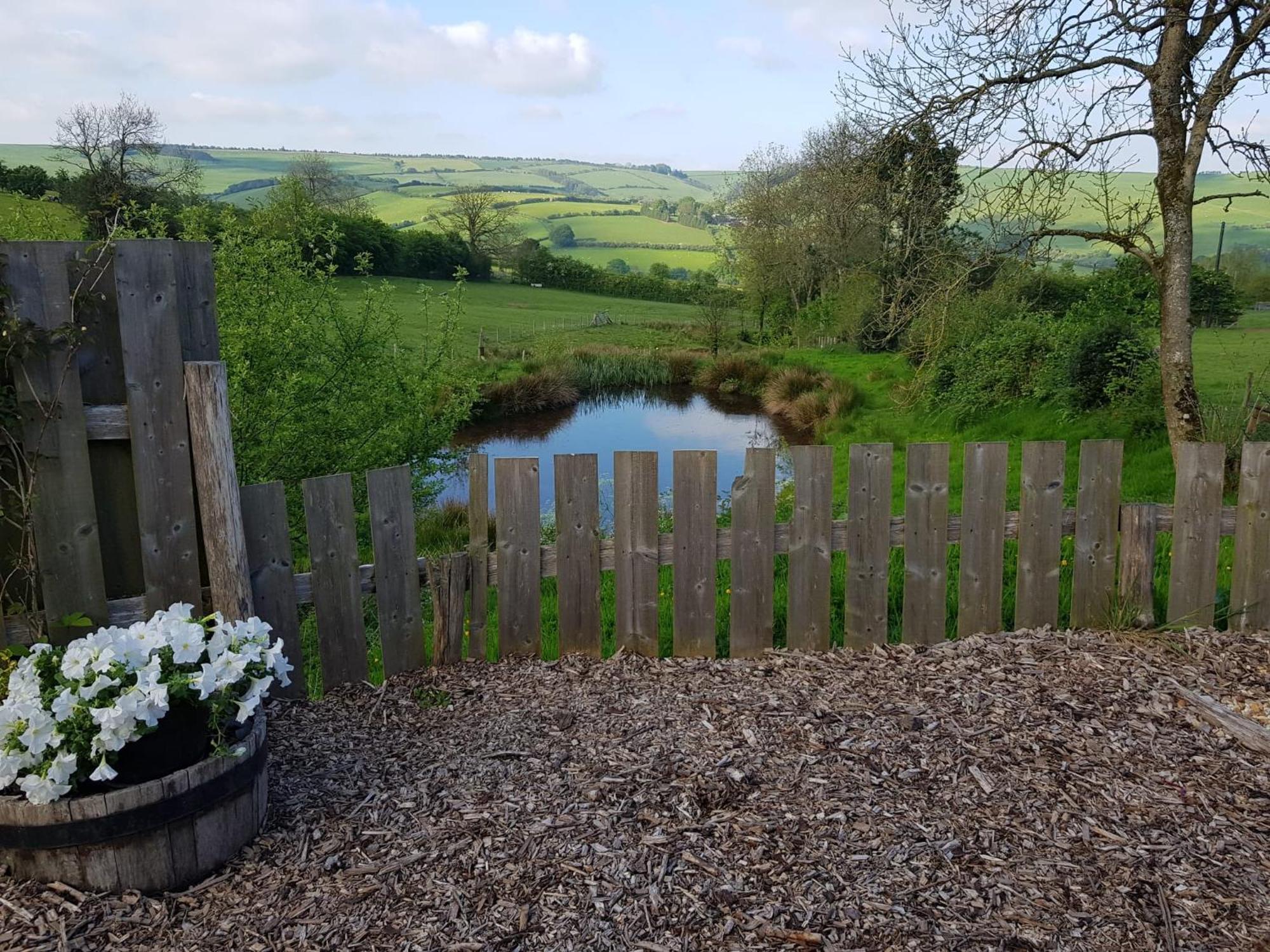 Eco Accommodation Cornflower Holiday Craven Arms Luaran gambar