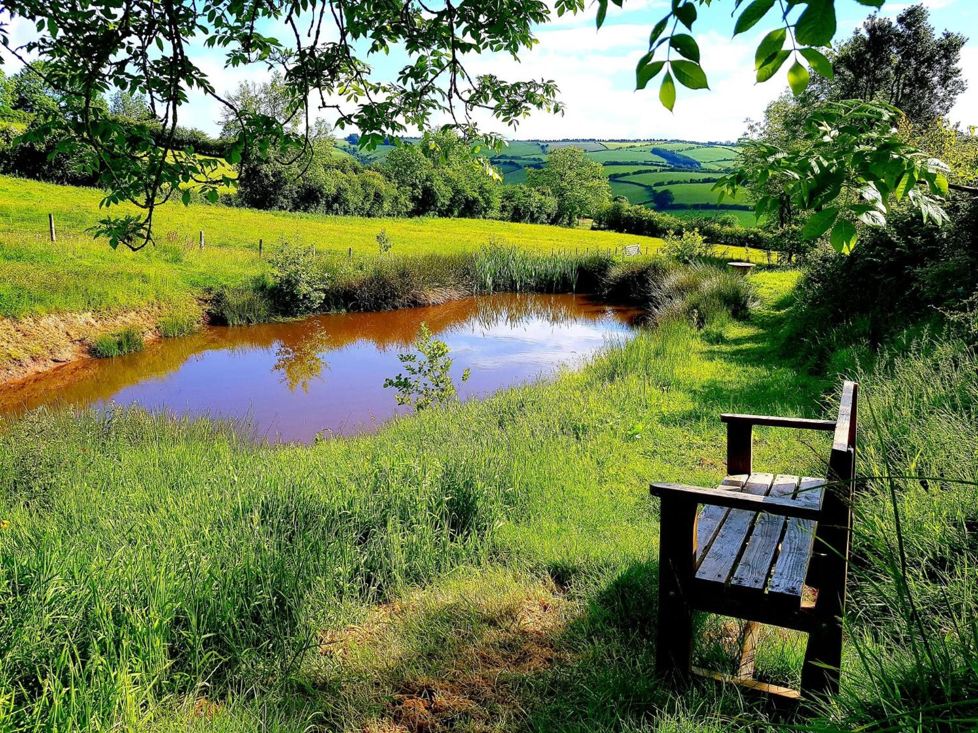 Eco Accommodation Cornflower Holiday Craven Arms Luaran gambar